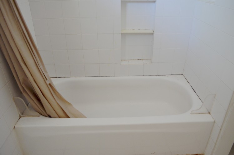 hall bathtub before